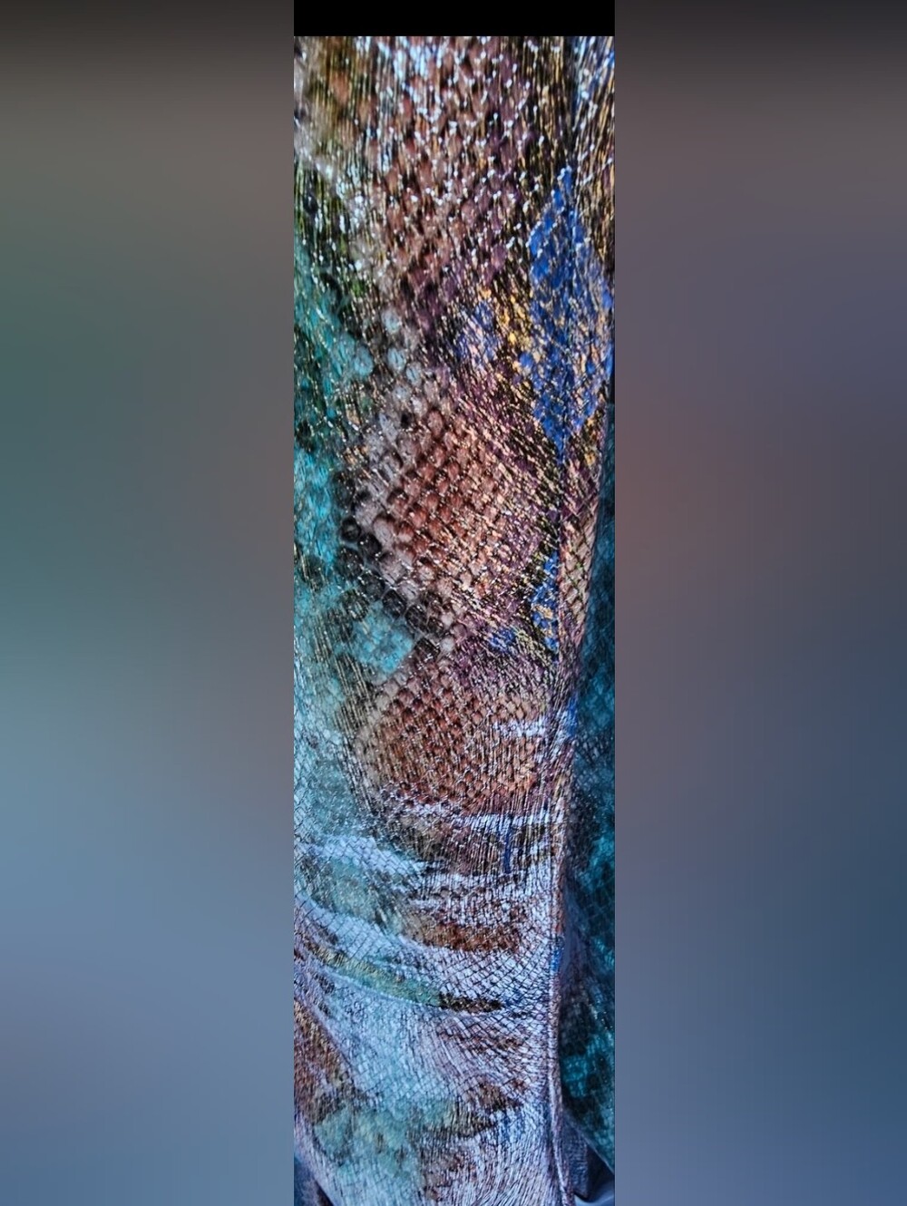 NWT Wild Pair Islah Multi Snake Knee High Boots 7.5M ๐ - Picture 12 of 12